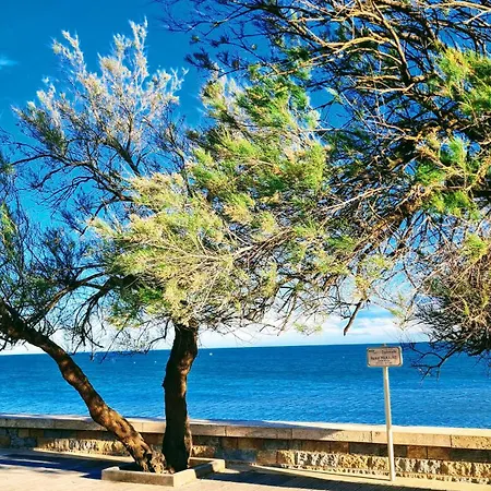 Caraibes 101 Luxe In Cap D'agde 아파트